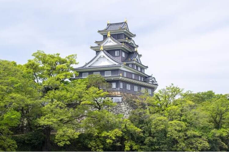 岡山市の高級住宅街、土地価格、住環境とは?